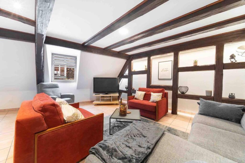 Les Lionceaux, 120M2 A Colmar, Place De Parking Gratuite Exterior foto